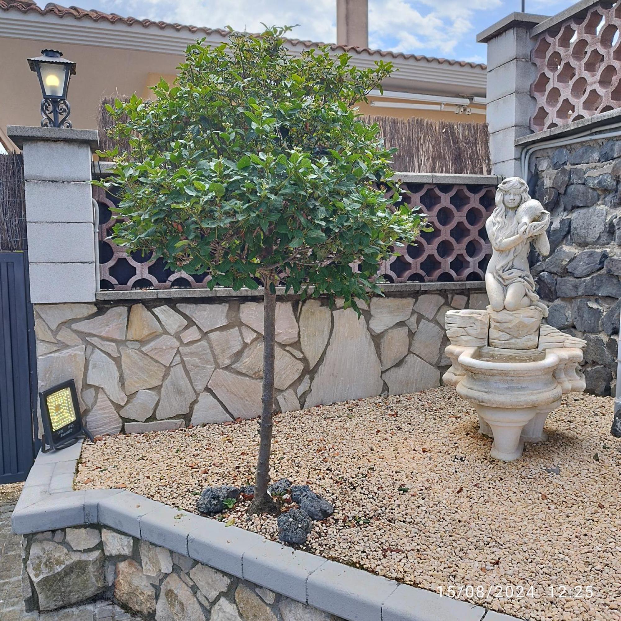 La Biznaga Villa Fogas de Tordera ภายนอก รูปภาพ